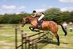 Wanborough Horse and Dog show